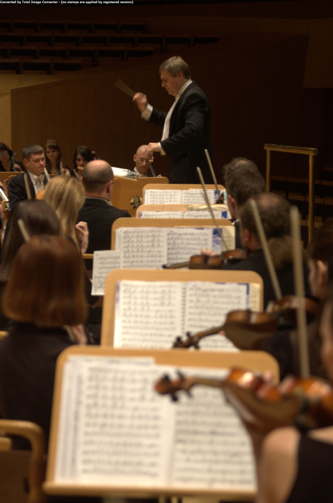 Ukrainian Radio Symphony Orchestra during the concert